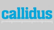 Callidus Surveys